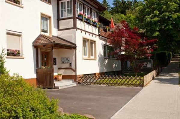 מלון באד דירהיים Albert Schweitzer Haus מראה חיצוני תמונה